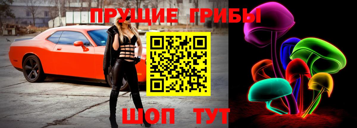 Псилоцибиновые грибы GOLDEN TEACHER  даркнет сайт  Шелехов  Вход с VPN  Псилоцибиновые грибы Psilocybine cubensis 